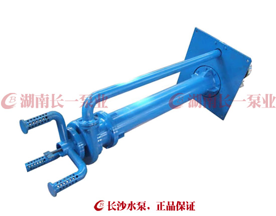 PWDDFL型多吸頭排污泵